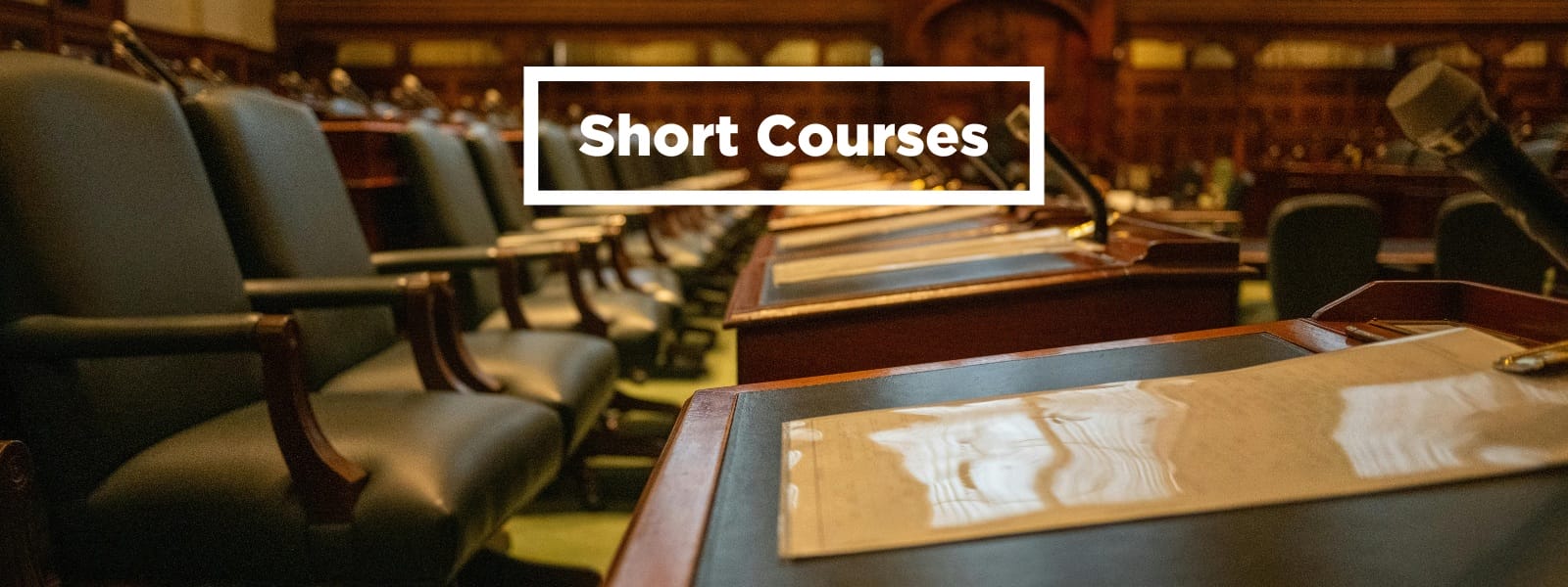 Department of Government and Management Studies